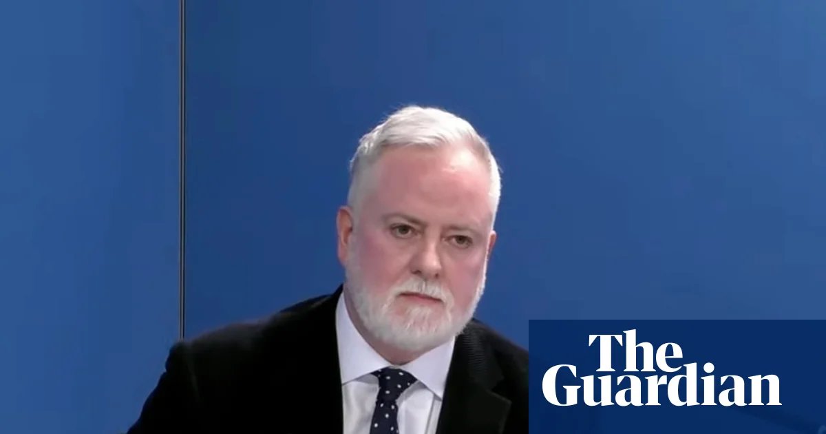 Undercover police officer was sacked for assaulting partner, spycops inquiry hears | Undercover police and policing