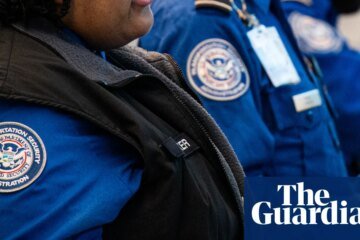 ICE agents will be deployed to US airports on Monday to ease long lines | ICE (US Immigration and Customs Enforcement)
