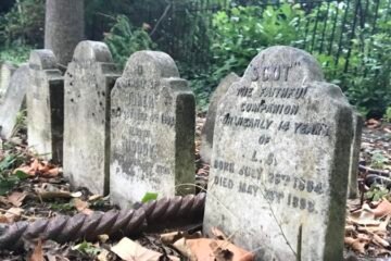 Opinion: ‘Until we meet again, brave little cat.’ The heartbreak and taboo of burying our pets