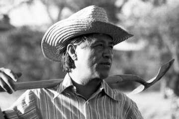 Cesar Chavez abuse allegations spur a movement to disavow the man — without erasing Latino history