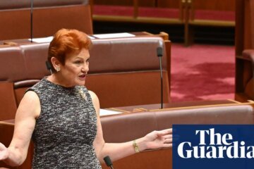 SA premier warns One Nation poses threat to federal Labor as Marles says party only ‘about stunts and the vibe’ | One Nation