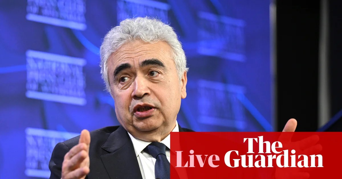 Australia politics live: ASX plunges as investors weigh Trump’s Iran ultimatum; Plibersek says working from home could be ‘helpful’ during fuel crisis | Australian politics