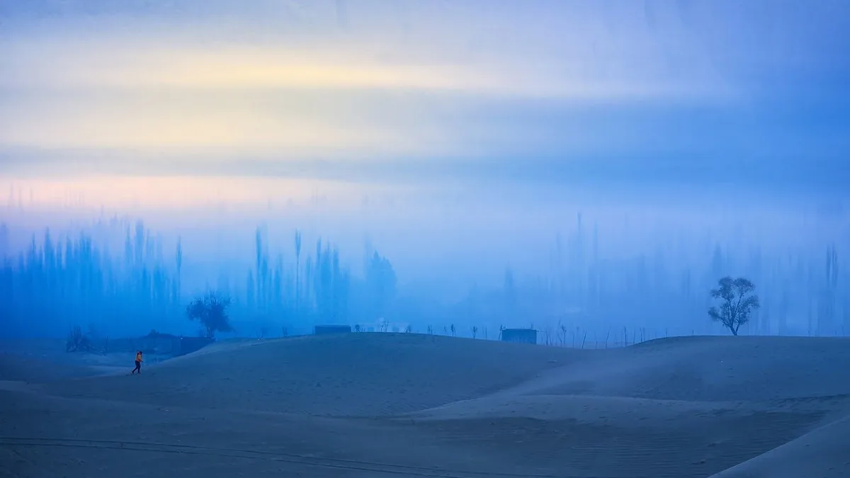 Nearly half a million submitted images, only these made the cut!