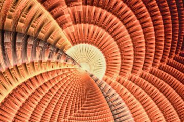 This week on “Sunday Morning” (March 22)