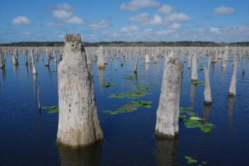 Decades after a Florida canal project was abandoned, advocates are trying to reunite 3 rivers