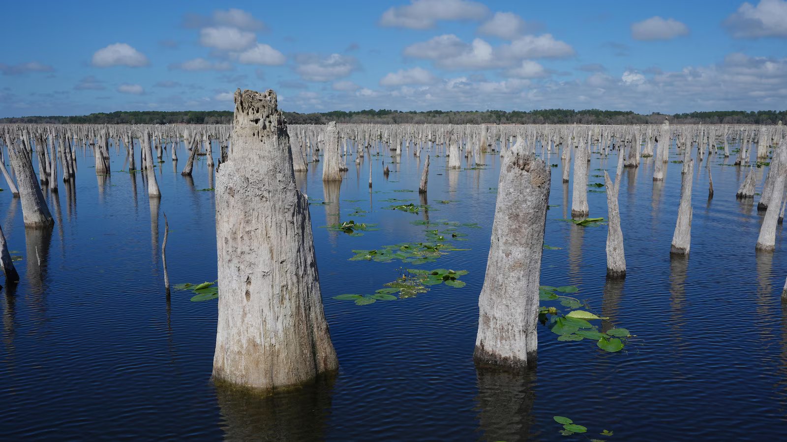 Decades after a Florida canal project was abandoned, advocates are trying to reunite 3 rivers