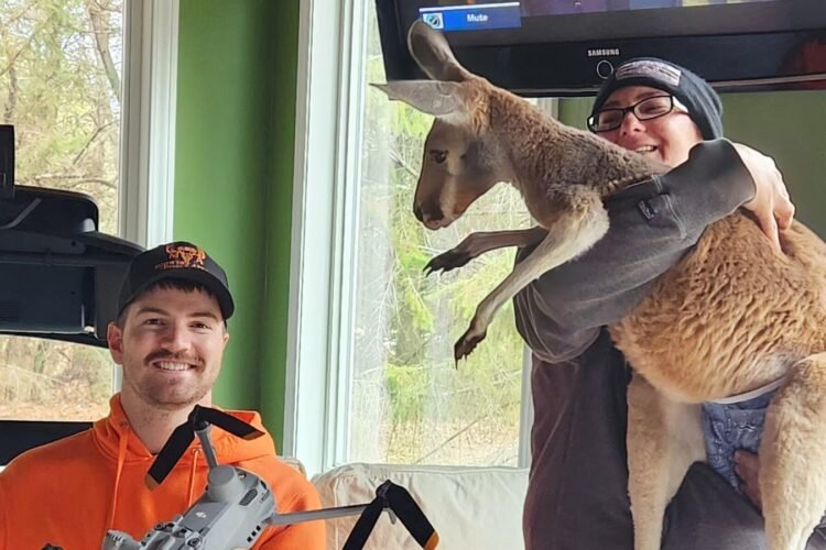 Chesney the kangaroo scales tall fence, flees petting zoo for three days on the lam