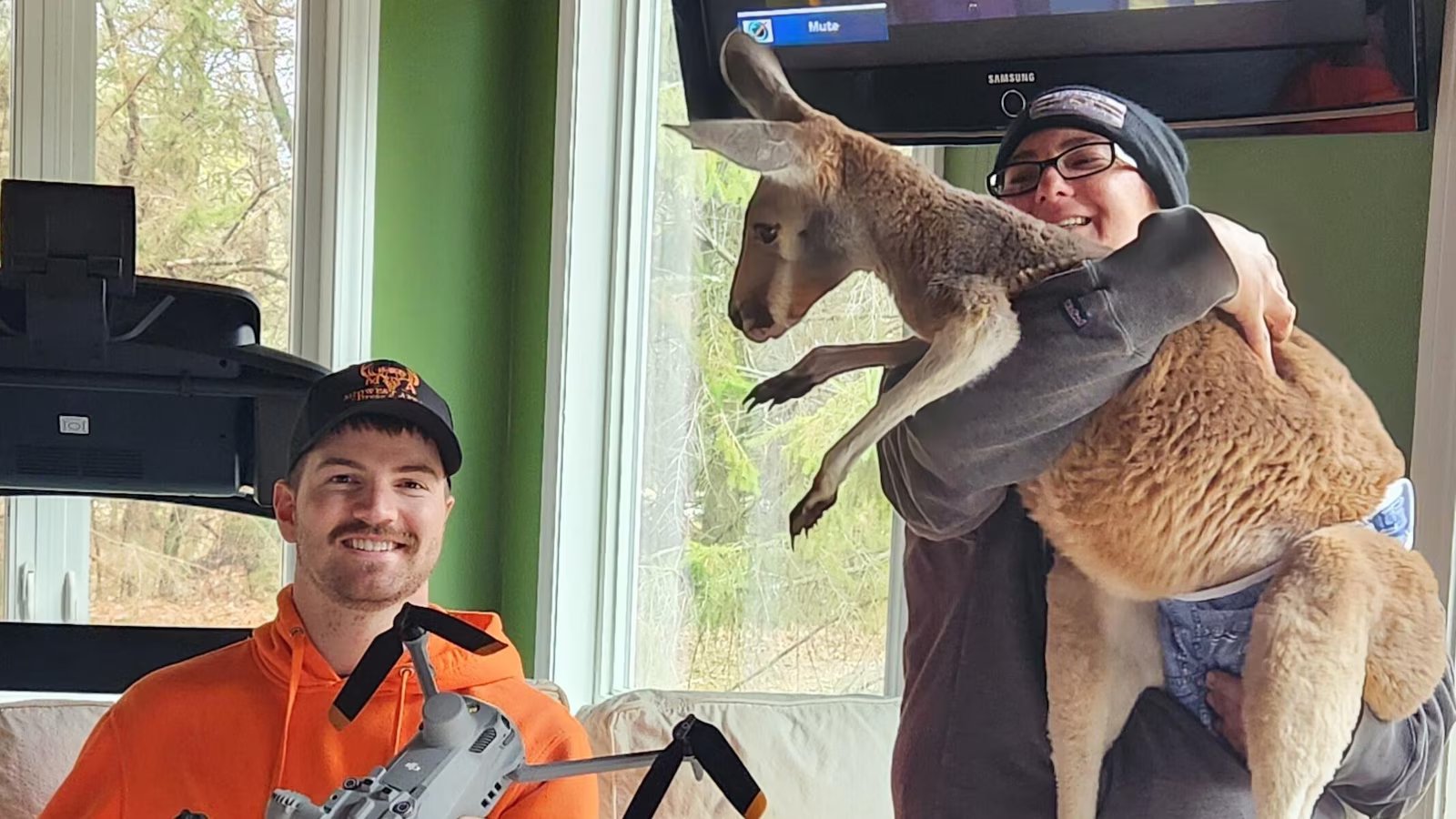 Chesney the kangaroo scales tall fence, flees petting zoo for three days on the lam