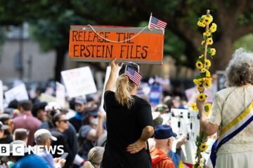 US government watchdog to investigate Epstein files release