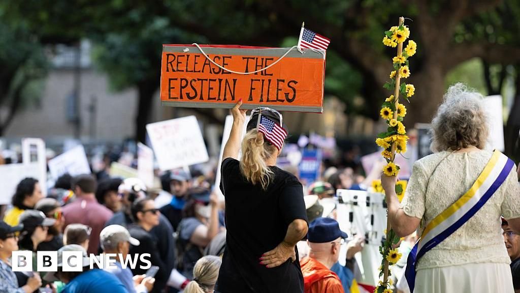 US government watchdog to investigate Epstein files release
