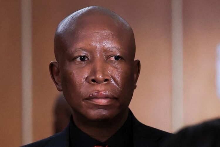 South African opposition figure Malema sentenced to five years in prison
