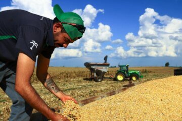 How the Iran war could shatter global food security