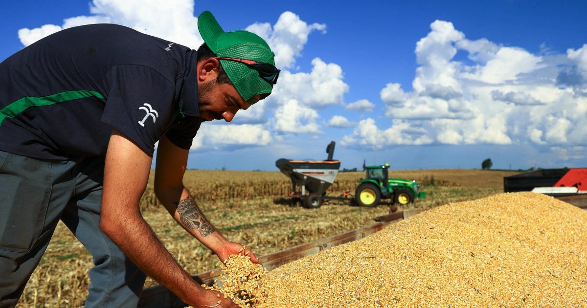 How the Iran war could shatter global food security