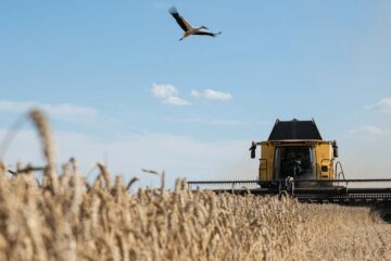 ‘Stolen’ grain shipments spark furious clash between Ukraine and Israel
