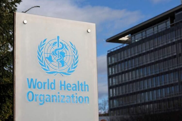 WHO suspends medical evacuations from Gaza following death of contractor in ‘security incident’