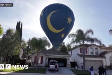 Hot air balloon makes emergency landing in California backyard