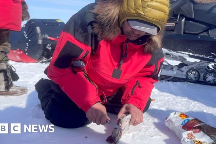 What does it take to survive in the Arctic’s extreme weather?