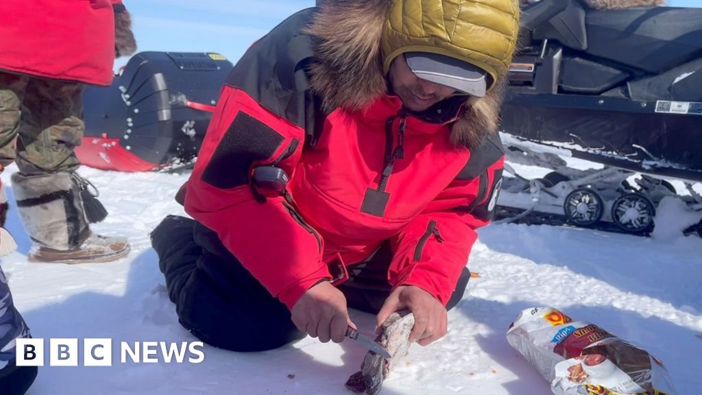 What does it take to survive in the Arctic’s extreme weather?