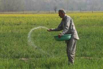 ‘It all depends on the crop’: Gulf crisis hits South Asia farmers | Agriculture News