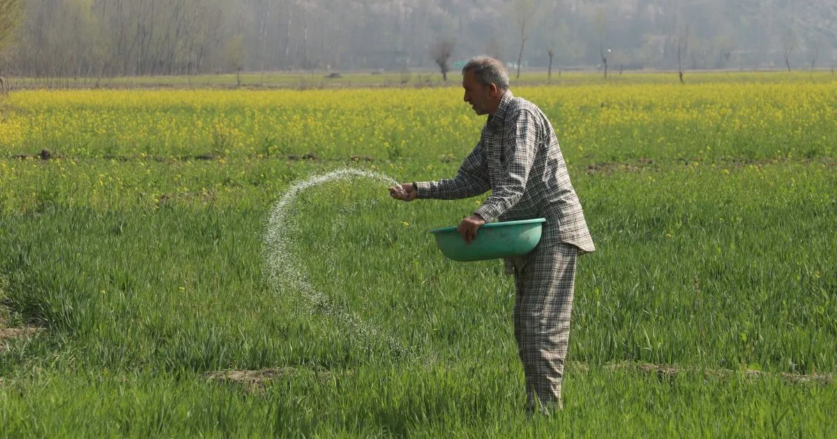 ‘It all depends on the crop’: Gulf crisis hits South Asia farmers | Agriculture News