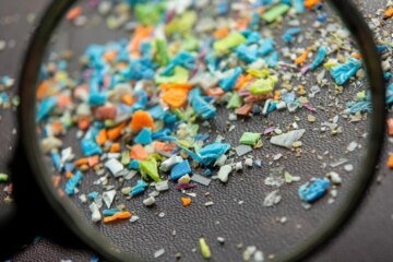 HHS announces $144 million program to study effect of microplastics on the human body