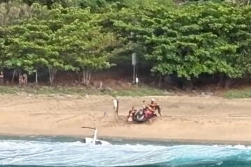 Pilot says Hawaii tour helicopter vibrated and spun before crash killed 3