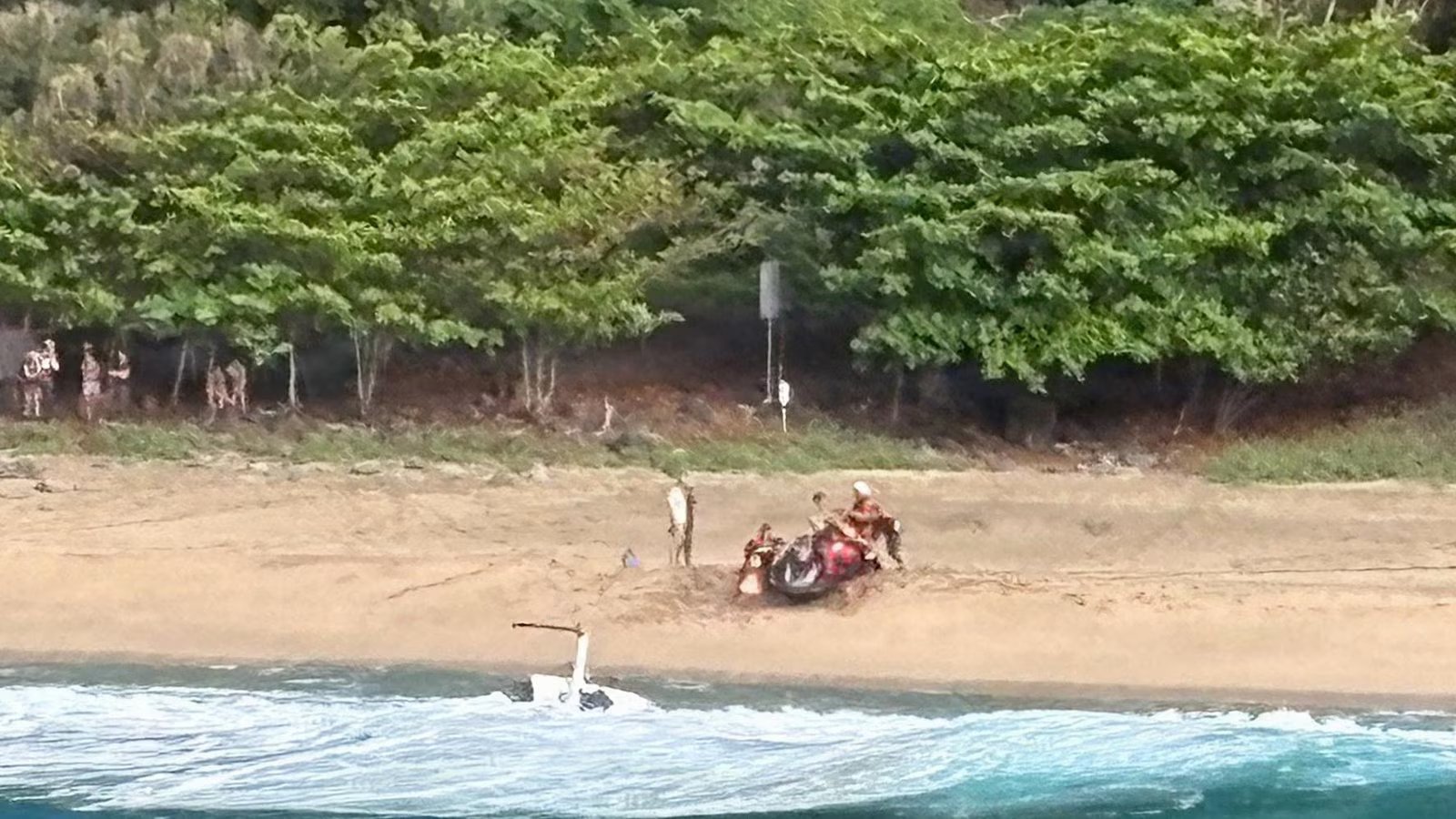 Pilot says Hawaii tour helicopter vibrated and spun before crash killed 3
