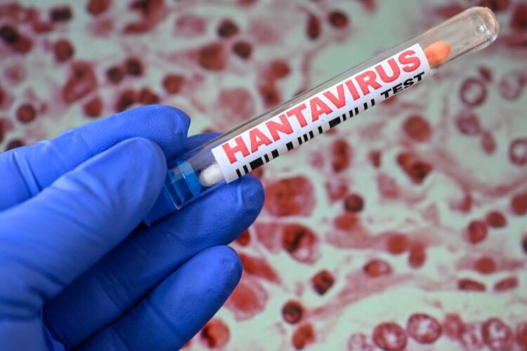 Hantavirus outbreak: Little chance says Kalshi