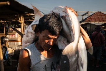 Southeast Asia’s overfishing crisis — and the effort to uncover its roots