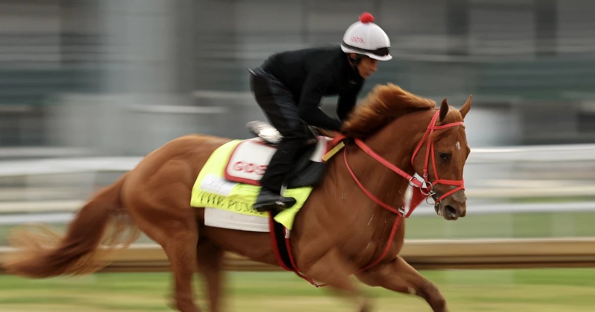 Where to watch, betting odds, lineup and more