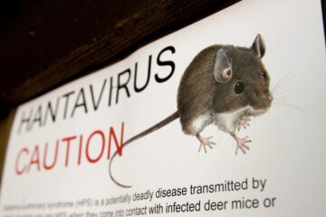 What to know about hantavirus