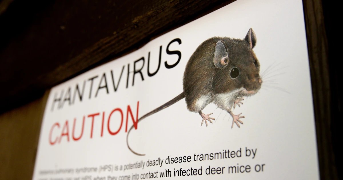 What to know about hantavirus