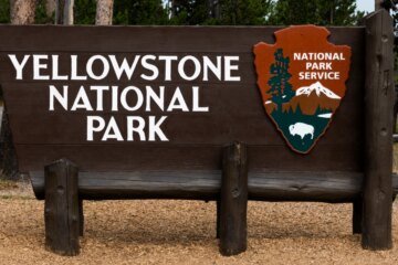 2 hikers injured in bear attack on Yellowstone trail