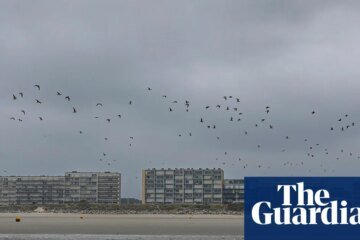 Sudanese woman and 16-year-old girl reportedly die trying to cross Channel | Immigration and asylum