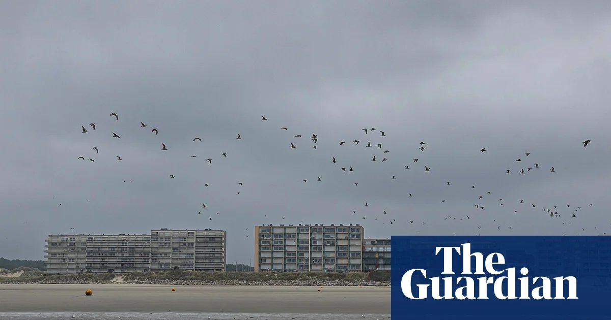 Sudanese woman and 16-year-old girl reportedly die trying to cross Channel | Immigration and asylum