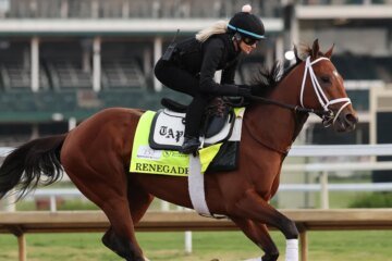 Meet the Kentucky Derby horses running in the 2026 race