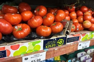 Tomatoes become latest symbol of America’s affordability squeeze