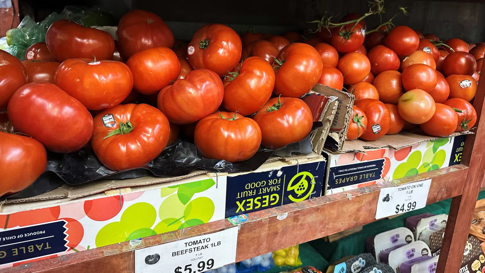 Tomatoes become latest symbol of America’s affordability squeeze
