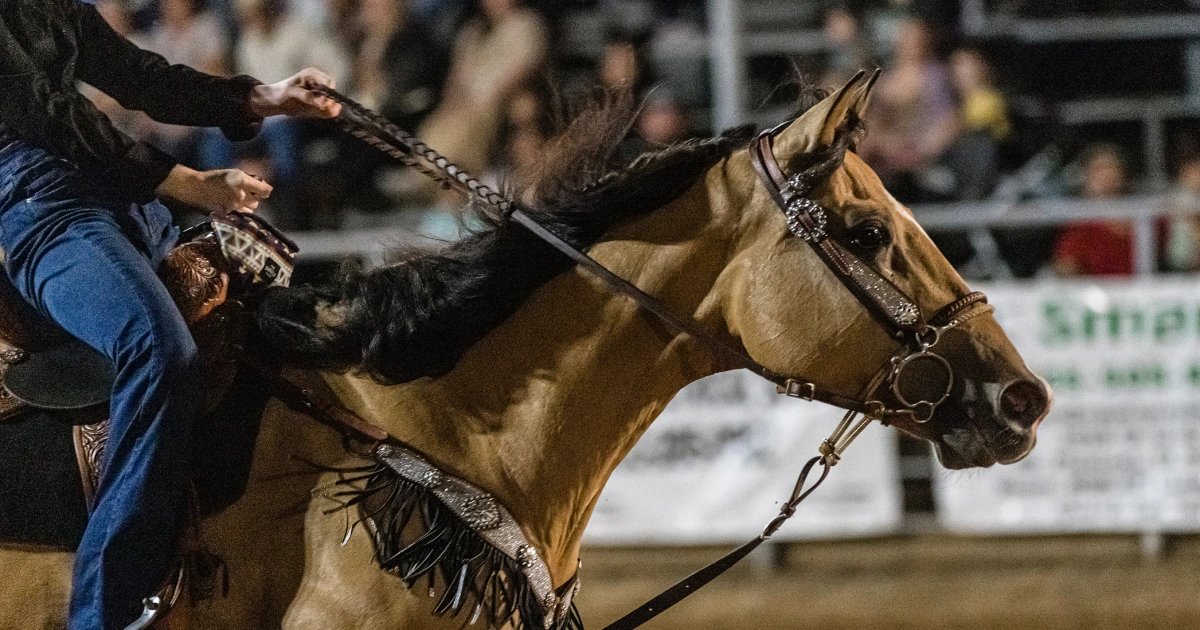 Teen horse competitor accused of hurting animals during Las Vegas event